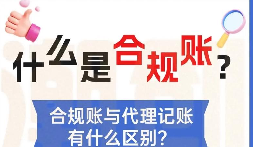 海内外业务统筹管控 跨境财税合规服务商